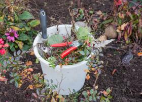 Preparing your Garden for Fall